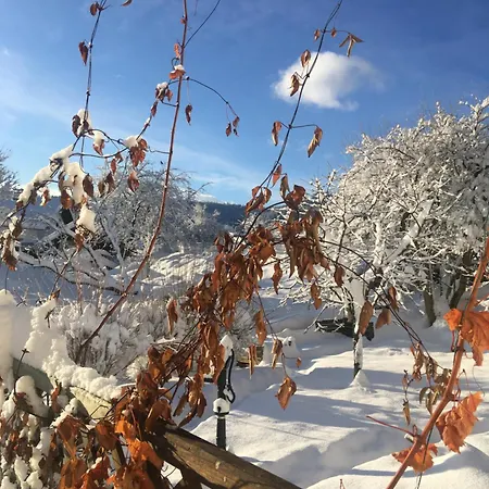 Mesnerhaus Steuerberg * Feldkirchen In Kaernten
