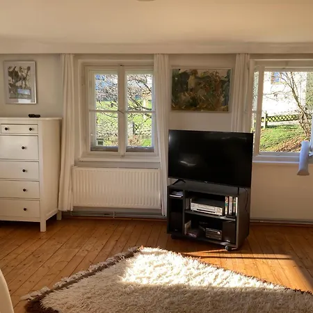 Mesnerhaus Steuerberg Holiday home *